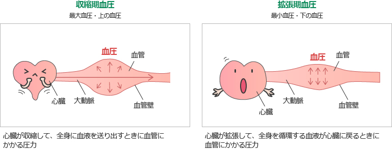 血圧 高い 期 拡張 収縮期血圧と拡張期血圧、どちらが大事？｜協会けんぽ 健康サポート