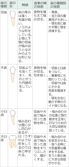 ̎ނ̖OA̕\