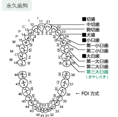 iv̐}