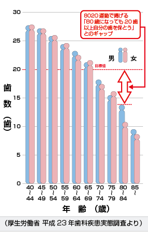 一人平均現在歯数