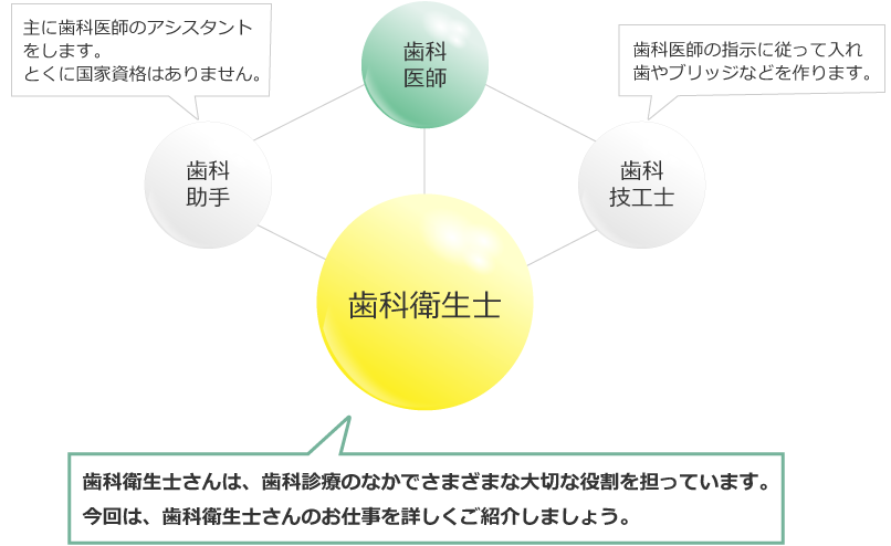 職種紹介図