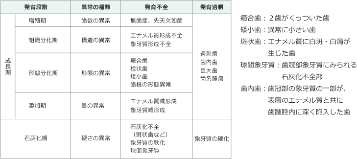 発育段階別に見た歯の発育異常の表