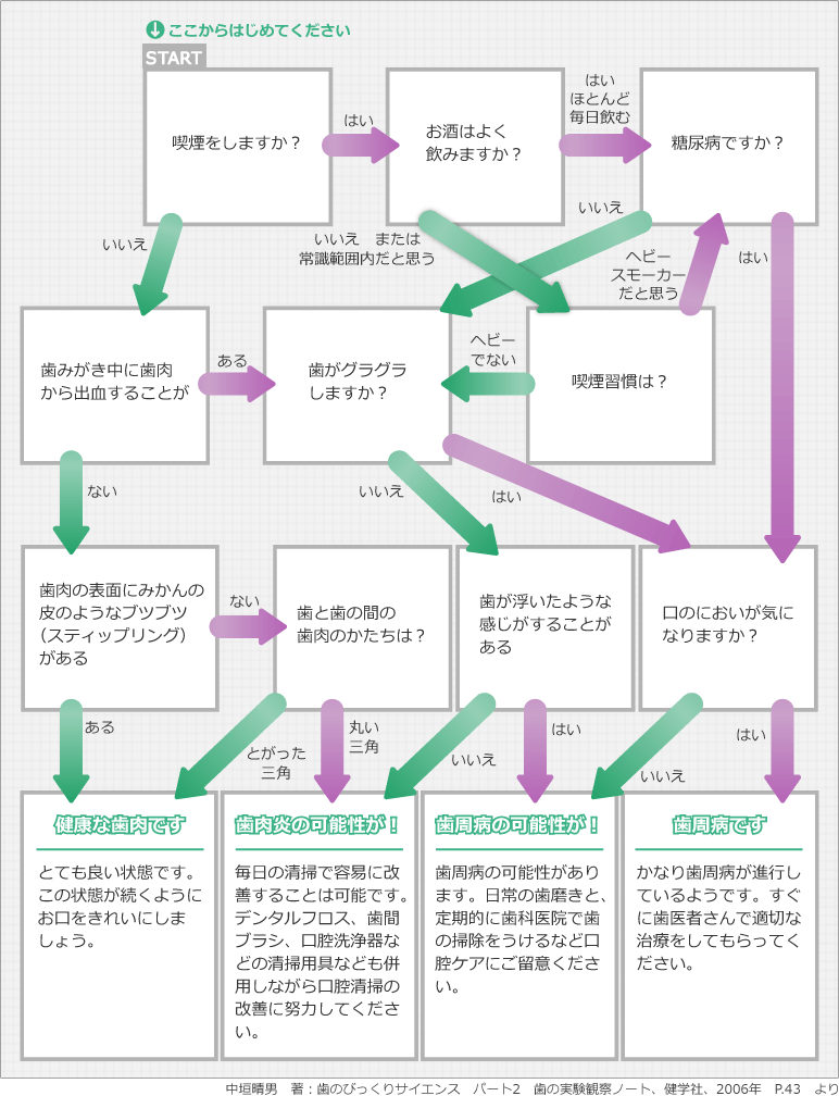 大人用チャート