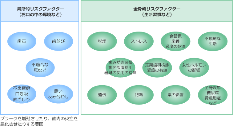 歯周病のリスクファクター(危険因子)の説明図