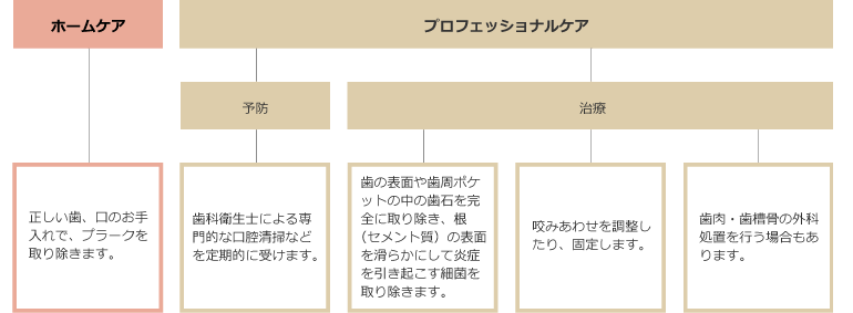 歯周病の予防・治療手段の説明図