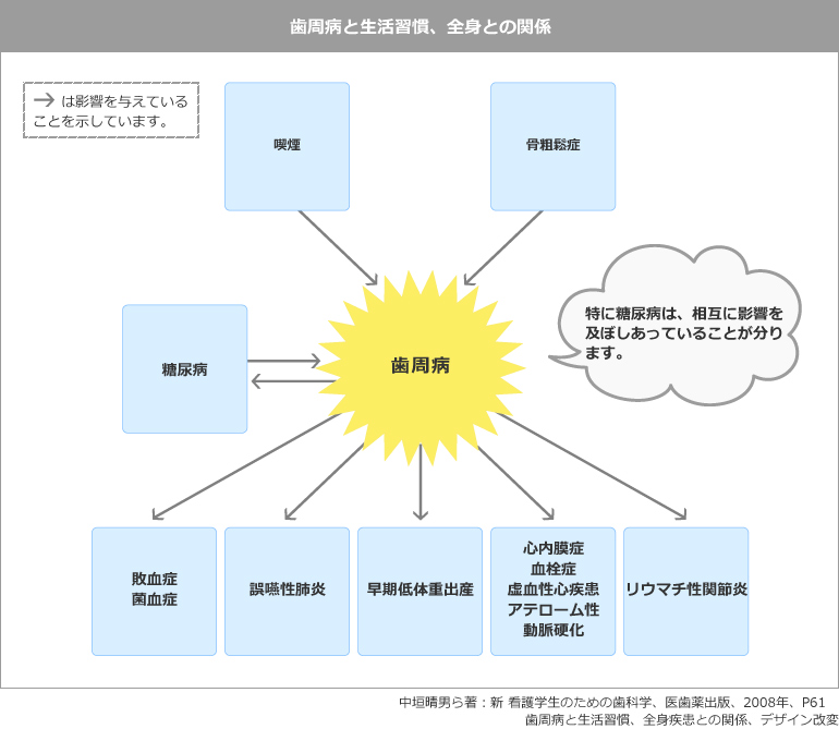 歯周病と生活習慣、全身との関係