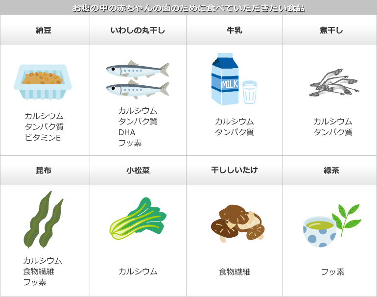 お腹の中の赤ちゃんの歯のために食べていただきたい食品