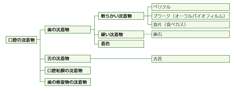 口腔の清潔を阻害する沈着物