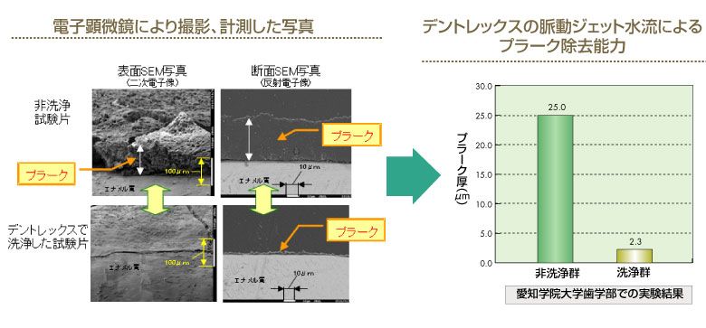 電子顕微鏡により撮影、計測した写真