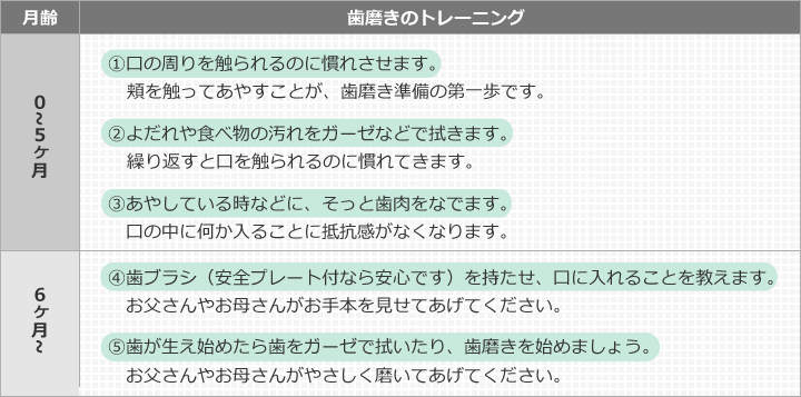 月齢と歯磨きのトレーニング