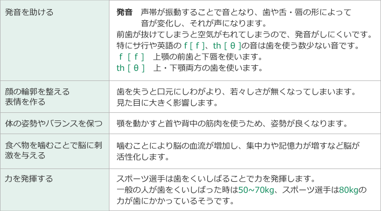 歯の役割の説明の表
