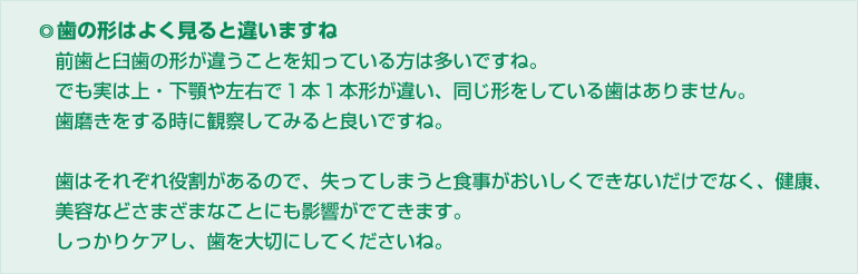 歯の形はよく見ると違いますね。前歯と臼歯の形が違うことを知っている方は多いですね。 でも実は上・下顎や左右で1本1本形が違い、同じ形をしている歯はありません。歯磨きをする時に観察してみると良いですね。歯はそれぞれ役割があるので、失ってしまうと食事がおいしくできないだけでなく、健康 美容などさまざまなことにも影響がでてきます。しっかりケアし、歯を大切にしてくださいね。