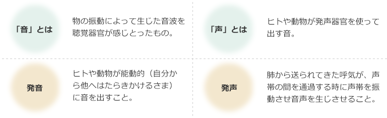 「音」とは
物の振動によって生じた音波を聴覚器官が感じとったもの。
「声」とは
ヒトや動物が発声器官を使って出す音。
発音
ヒトや動物が能動的(自分から他へはたらきかけるさま)に音を出すこと。
発声
肺から送られてきた呼気が、声帯の間を通過する時に声帯を振動させ音声を生じさせること。