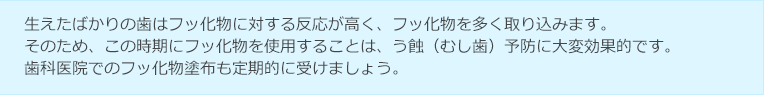 時期/理由
								生えたばかりの歯はフッ化物に対する反応が高く、フッ化物を多く取り込みます。<br />
								そのため、この時期にフッ化物を使用することは、う蝕（むし歯）予防に大変効果的です。<br />
								歯科医院でのフッ化物塗布も定期的に受けましょう。