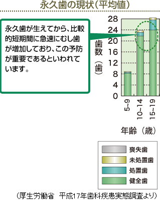永久歯の現状（平均値）