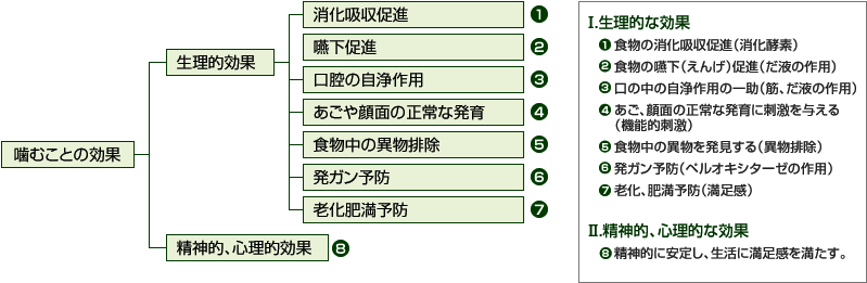 噛むことの効果