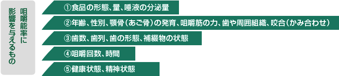 咀嚼能率に影響を与えるもの