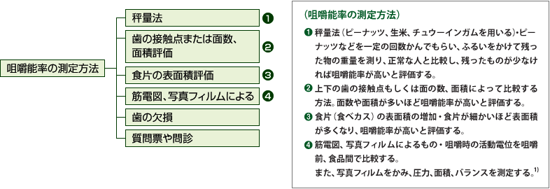 咀嚼能率の測定方法