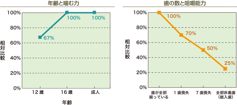 年齢と噛む力、歯の数と咀嚼能力