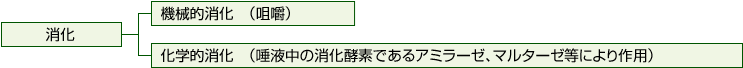 消化