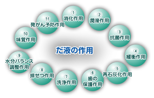 だ液の作用