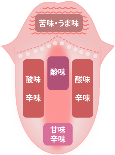 味を感じる場所